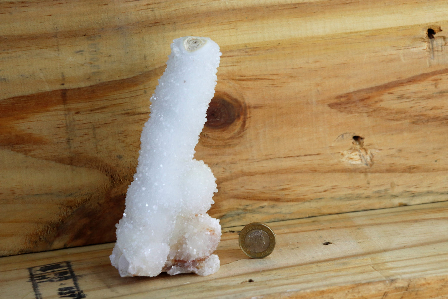 26) Large Quartz Stalactite Crystal Coral / Spirit / Cactus Quartz