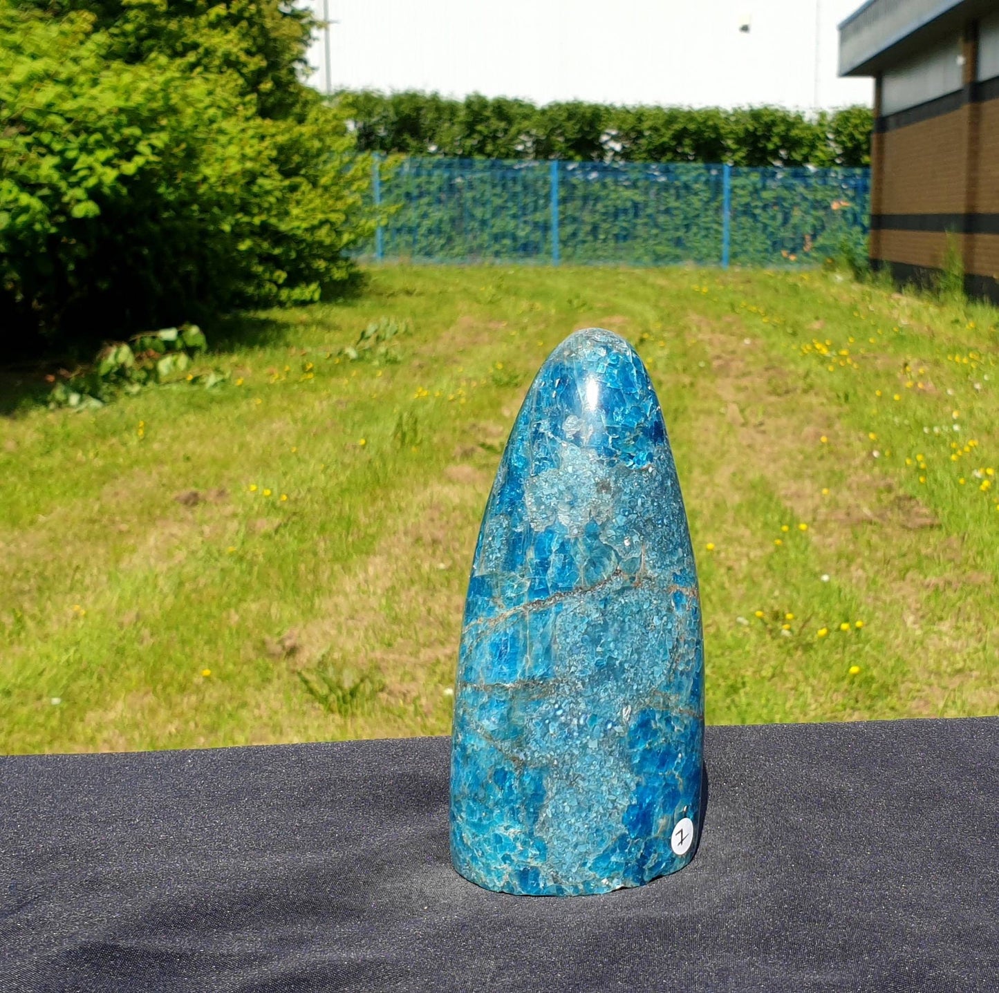 7) Apatite Crystal Freeform