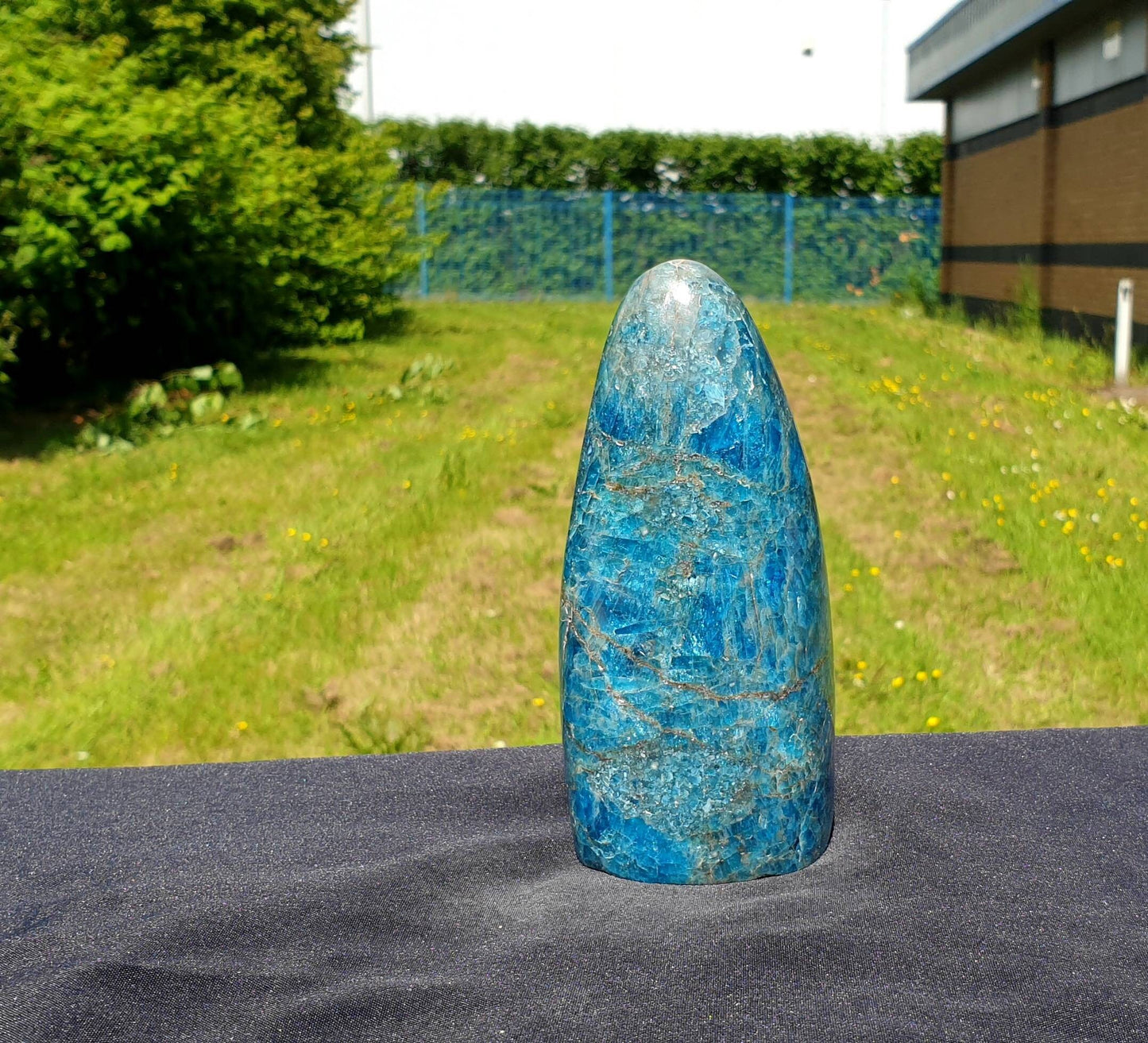 7) Apatite Crystal Freeform