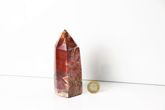 10) Fossil Wood Prism - Petrified Wood - Madagascar