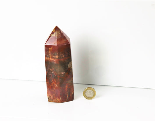 8) Fossil Wood Prism - Petrified Wood - Madagascar