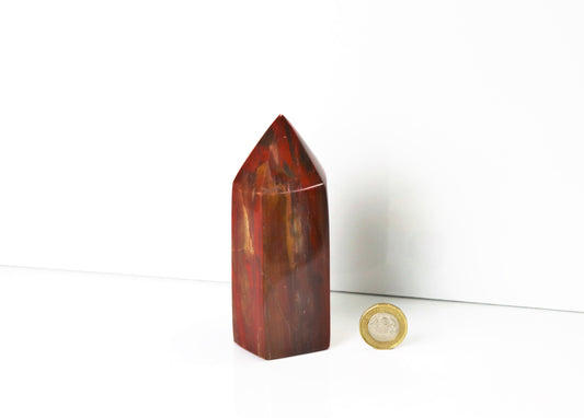 6) Fossil Wood Prism - Petrified Wood - Madagascar