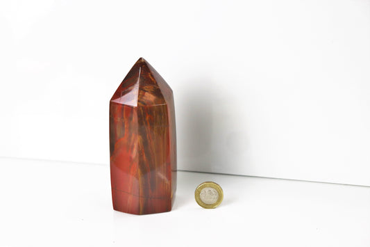 2) Fossil Wood Prism - Petrified Wood - Madagascar