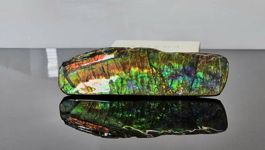 4ap) Large Ammolite Crystal Generation Gemstone Seven Colour Prosperity Stone