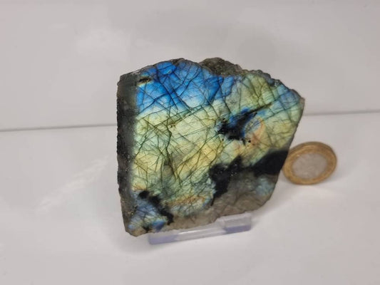 42LH) Labradorite Crystal Half Polished Slice