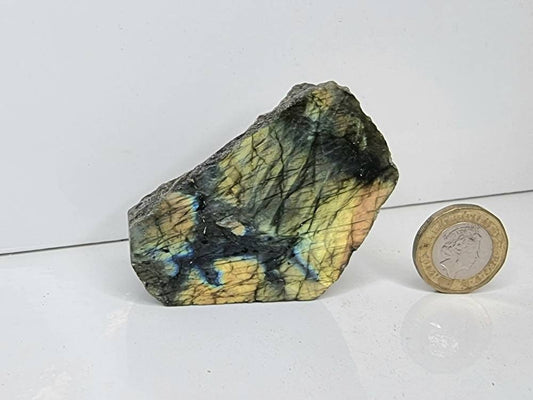 7LH) Labradorite Crystal Half Polished Slice