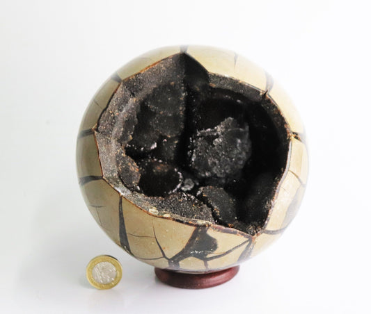 89) Large Black Septarian Crystal Sphere   5"