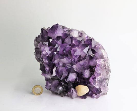 AM11) Large Amethyst Crystal Natural Geode Cluster