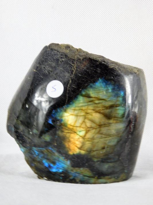 5) Large Labradorite Crystal Mineral Madagascar Great Gift Freestanding - Half Polished + Raw