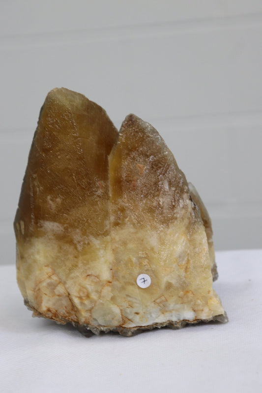 7) Extra Large Dog Tooth Calcite Crystal Stellar Beam Mineral From Morocco 1.44kg