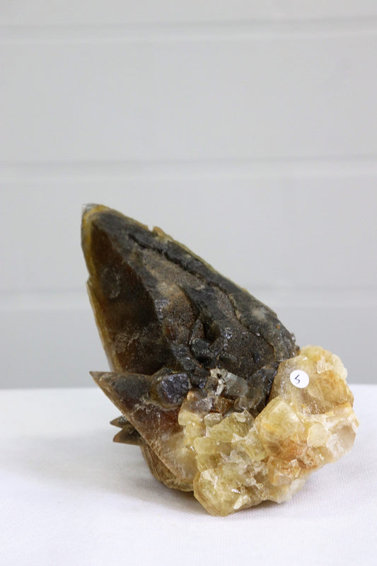 5) Extra Large Dog Tooth Calcite Crystal Mineral From Morocco 953g