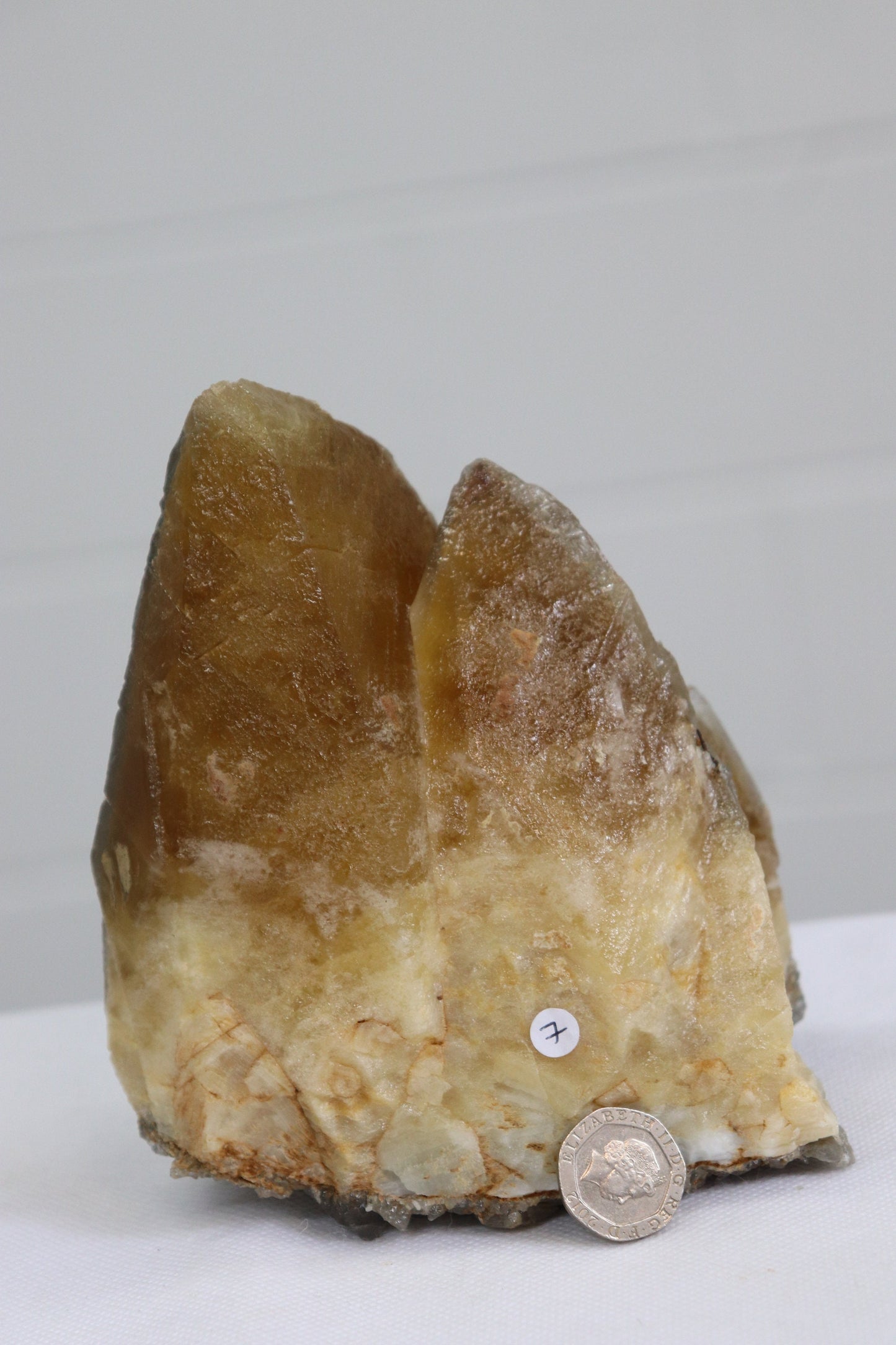 7) Extra Large Dog Tooth Calcite Crystal Stellar Beam Mineral From Morocco 1.44kg