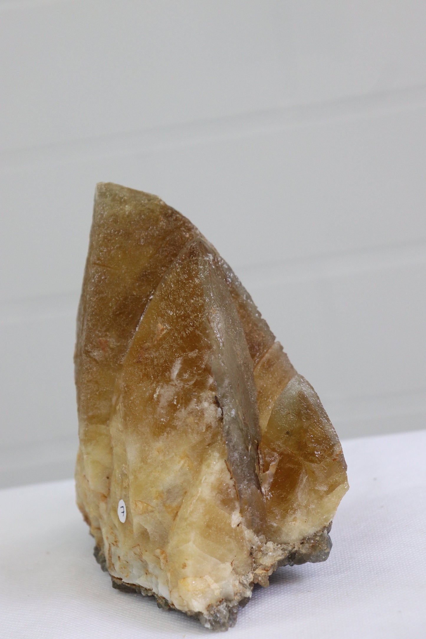 7) Extra Large Dog Tooth Calcite Crystal Stellar Beam Mineral From Morocco 1.44kg