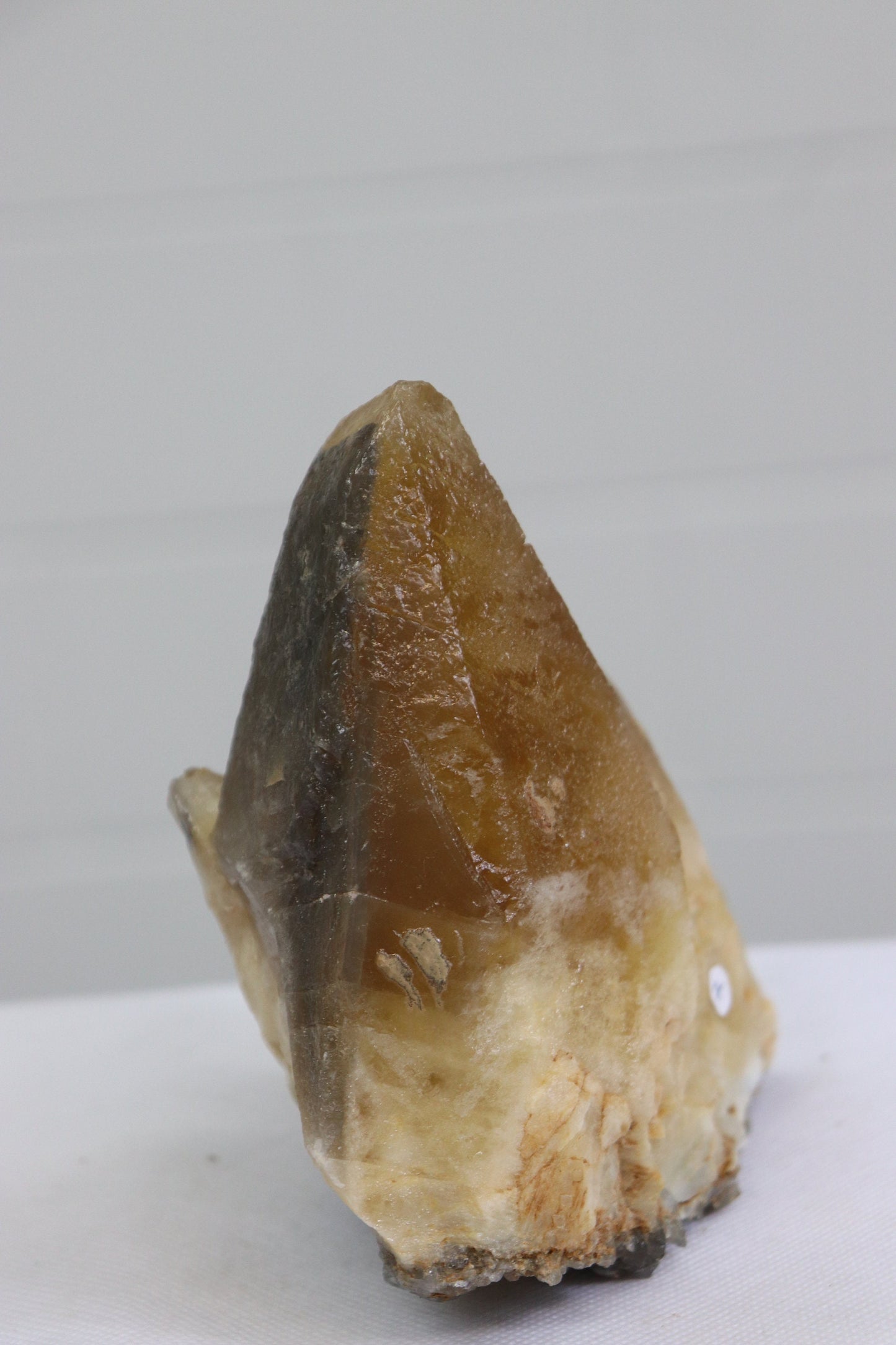 7) Extra Large Dog Tooth Calcite Crystal Stellar Beam Mineral From Morocco 1.44kg