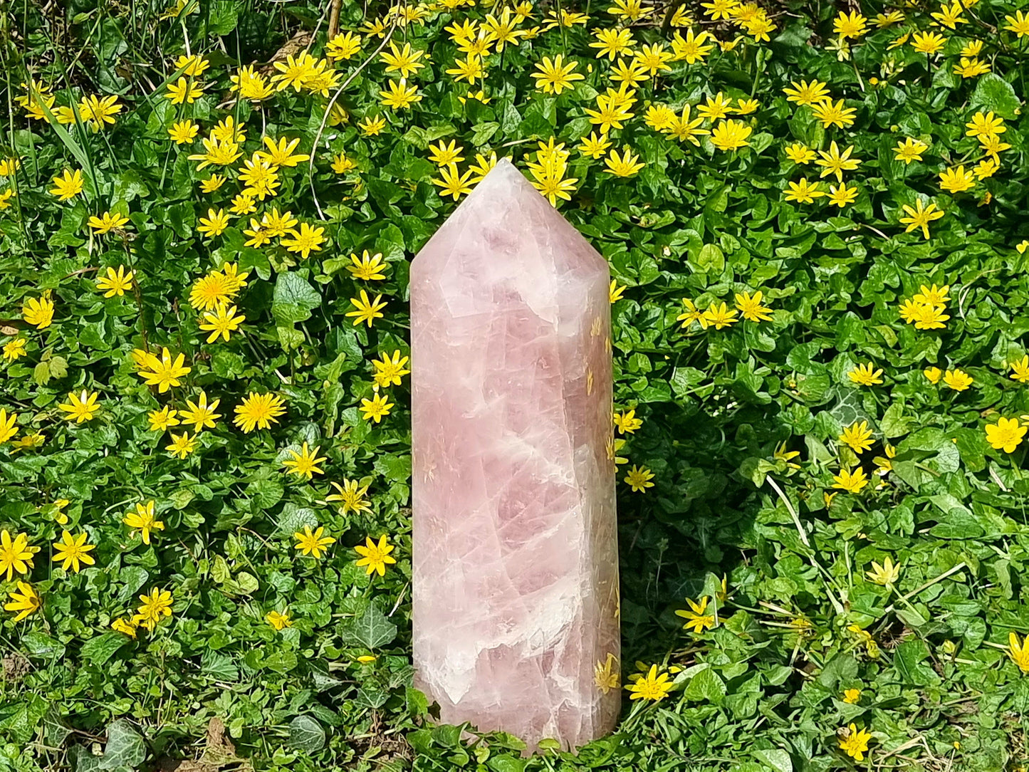 Extra Large Rose Quartz Crystal Prism 6 KG