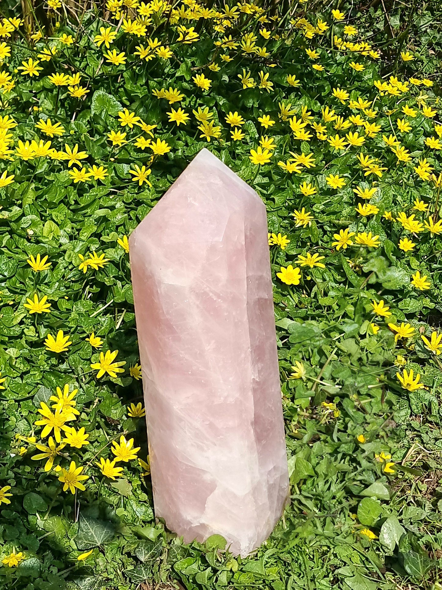 Extra Large Rose Quartz Crystal Prism 6 KG