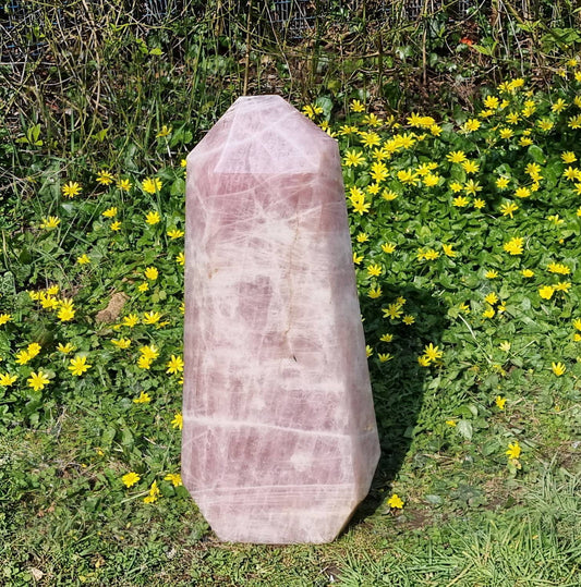 Extra Large High Quality Rose Quartz Crystal Prism  38 KG Statement Crystal Interior Design