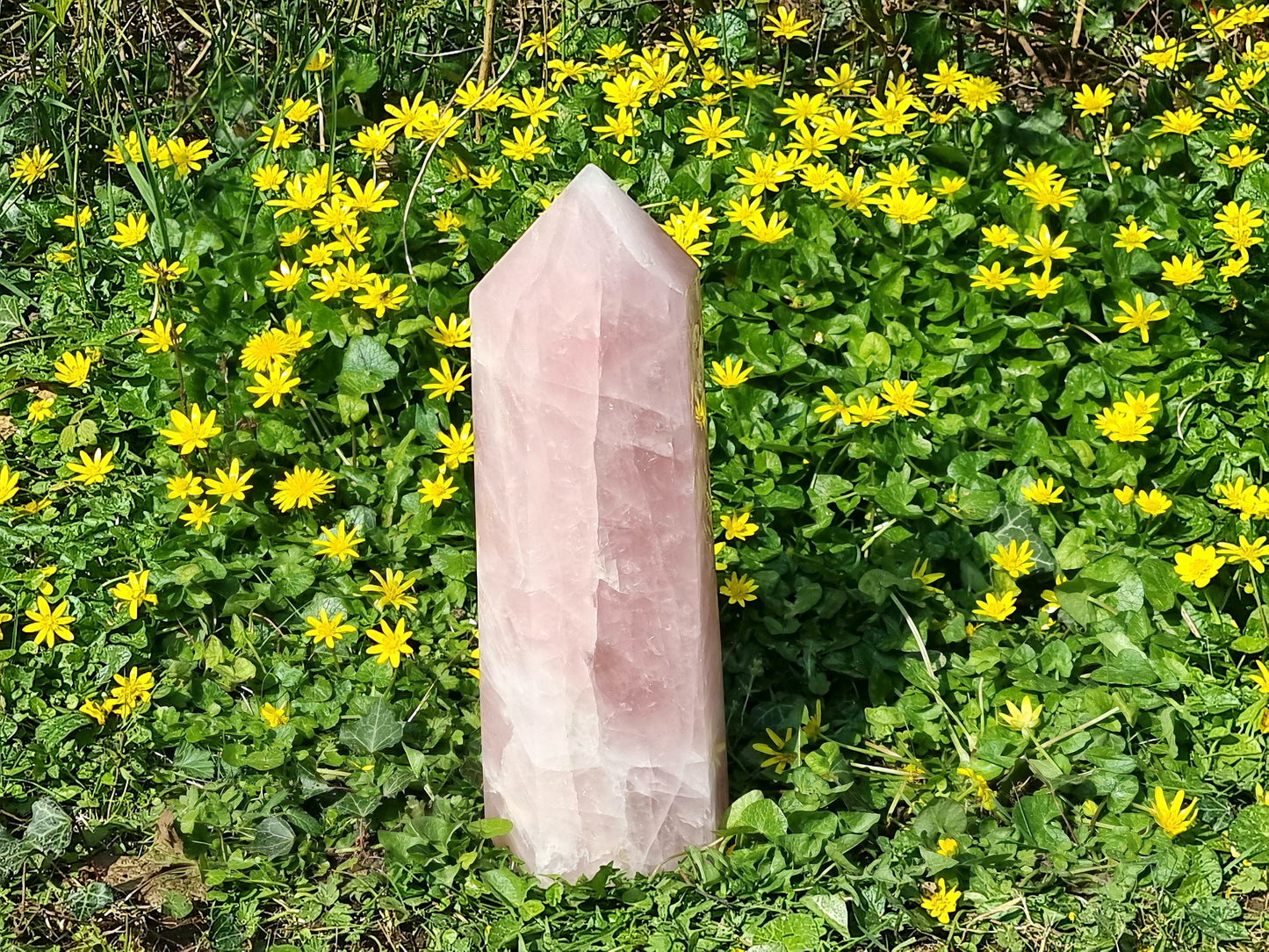 Extra Large Rose Quartz Crystal Prism 6 KG