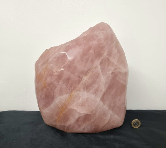 Extra Large Rose Quartz Crystal Freeform