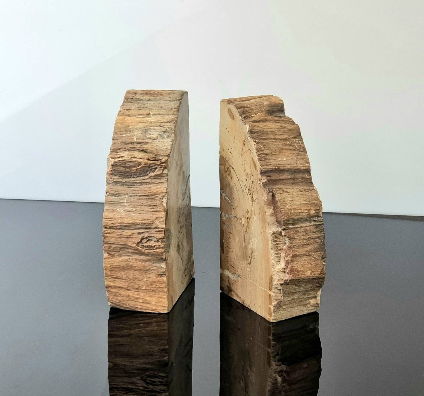 large petrified wood bookends