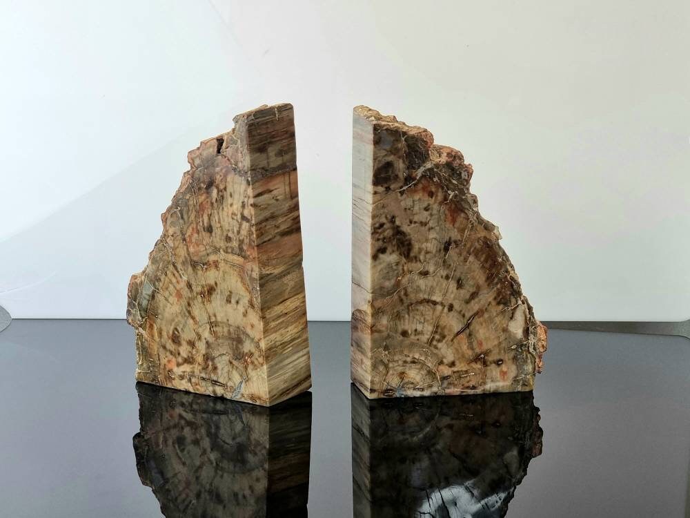 petrified wood bookends