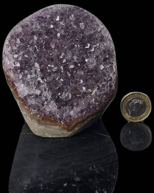 AMU136) Amethyst Crystal Quartz Geode Uruguayan