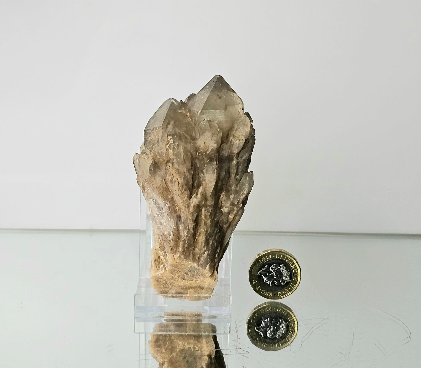 kundalini Citrine Natural Crystal (#8)