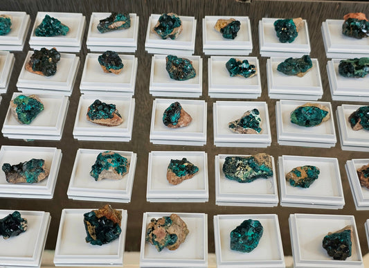 Small Dioptase Crystal In Display Case