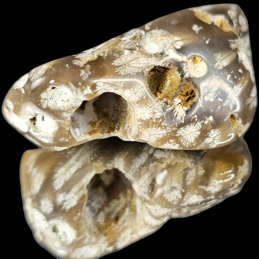 Rare Agate Coral Crystal Fossil - UK Tumblestone  (#13)