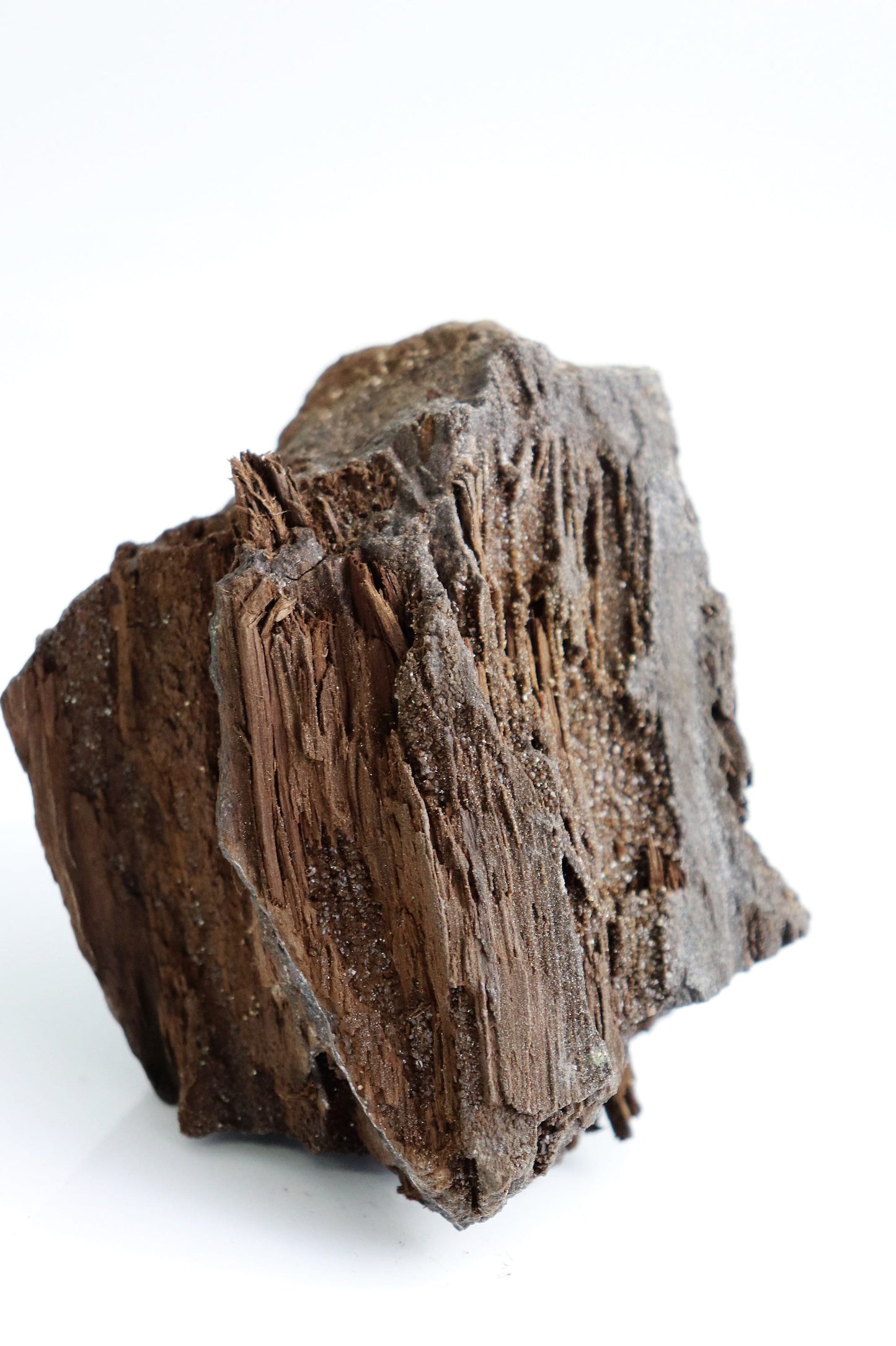 15) Fossil Wood Quartz Crystal Druze Rare Petrified Wood Germany Permineralized - Unique Home Decor