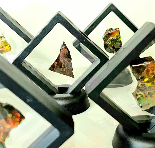 Ammolite crystal gemstone