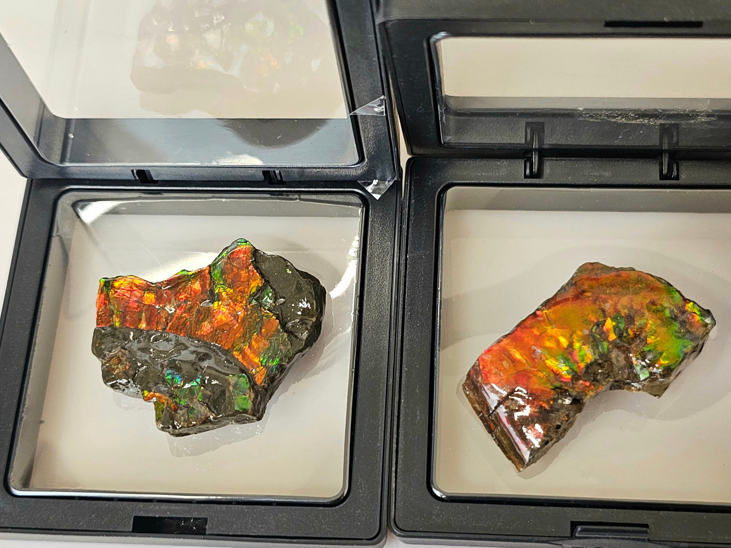 Ammolite crystal gemstone