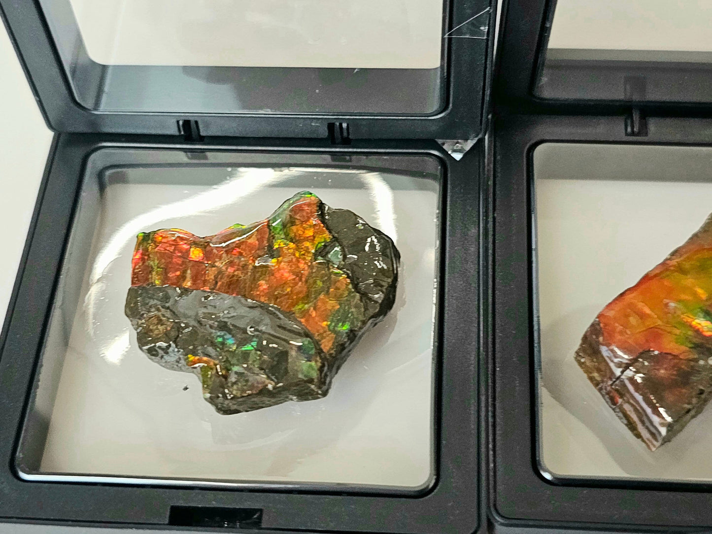 Ammolite crystal gemstone