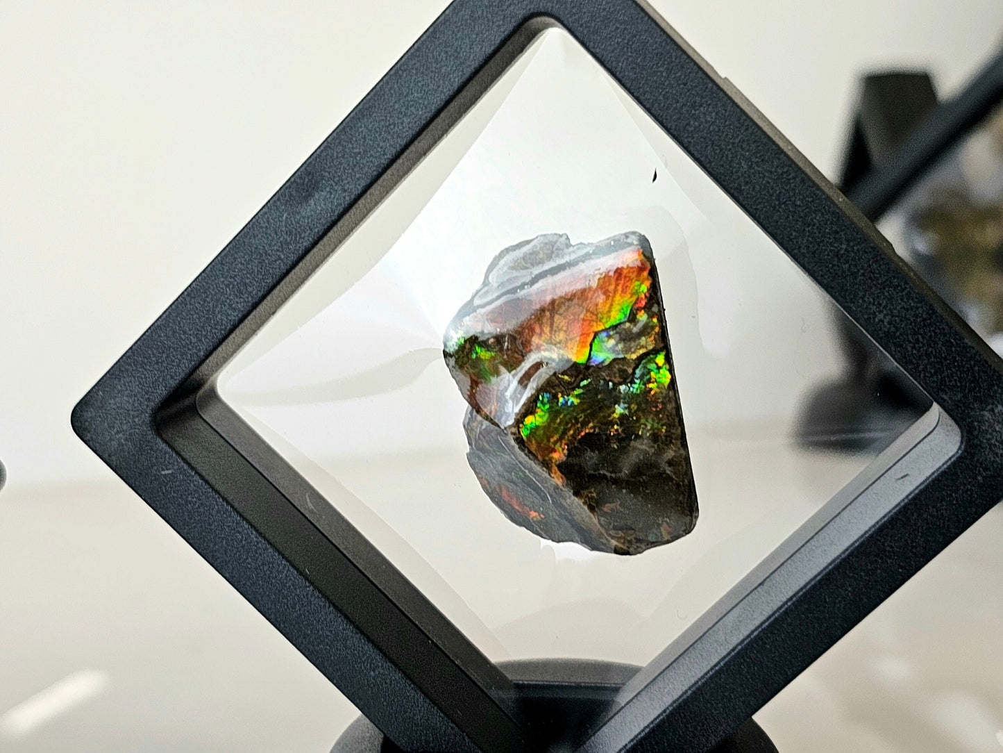 Ammolite crystal gemstone