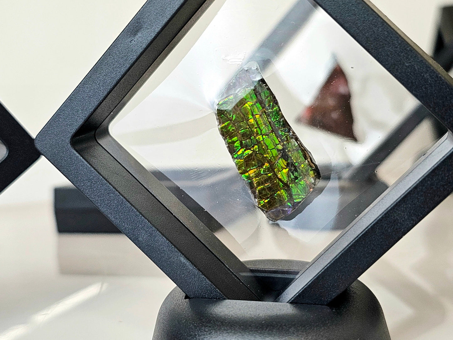 Ammolite crystal gemstone