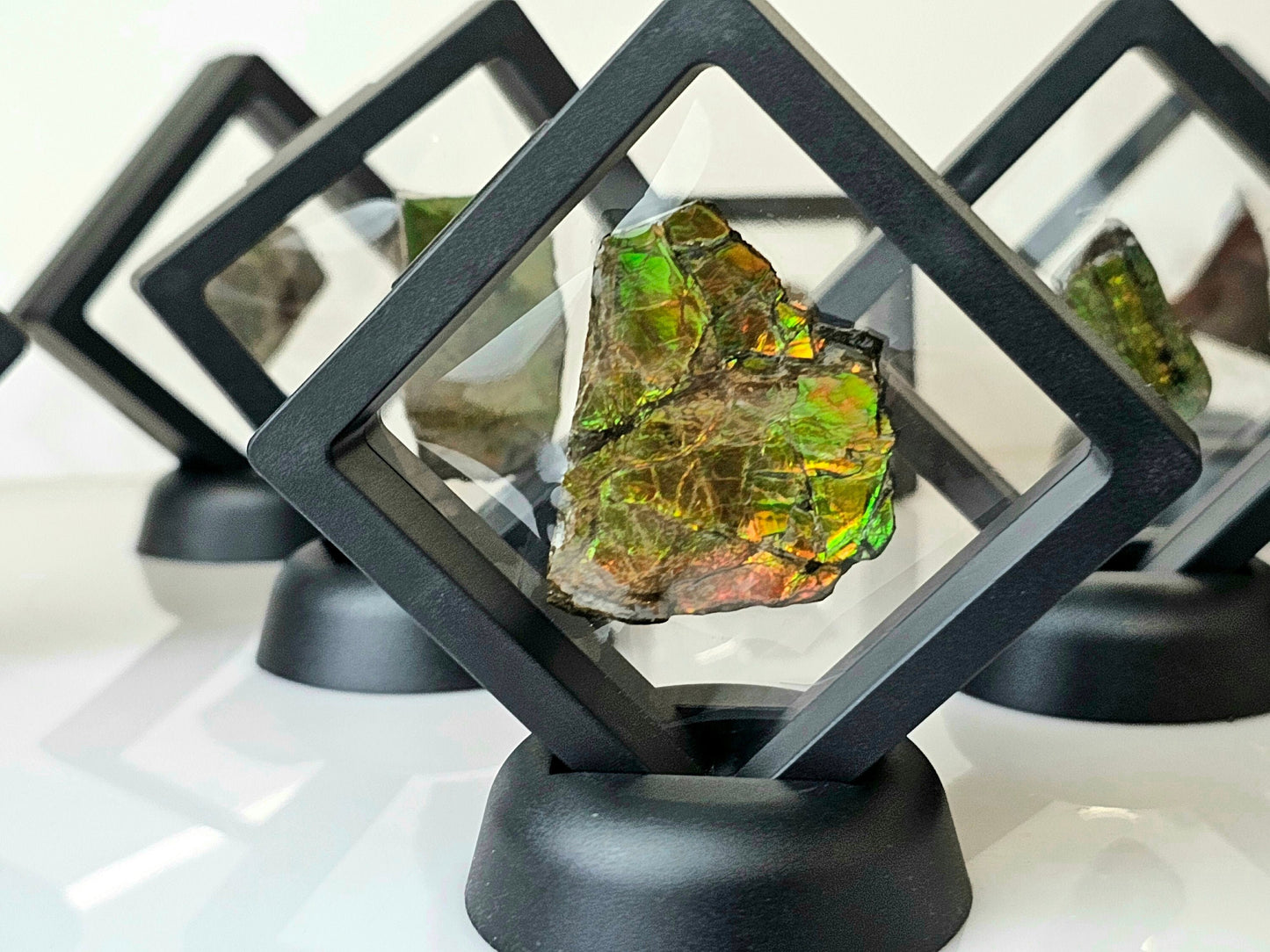 Ammolite crystal gemstone