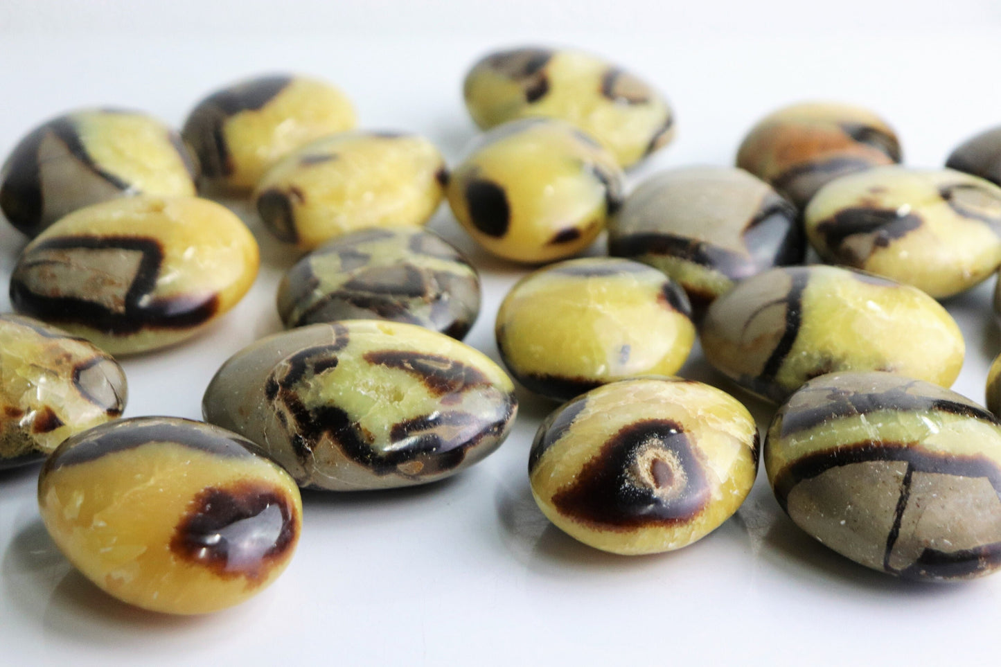 Large yellow septarian crystal palmstone  gallet madagascar