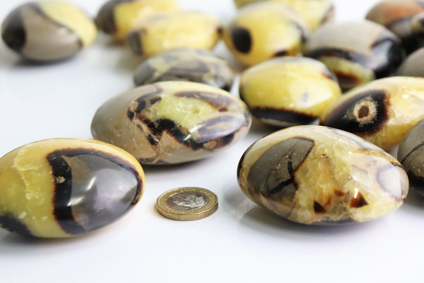 Large yellow septarian crystal palmstone  gallet madagascar