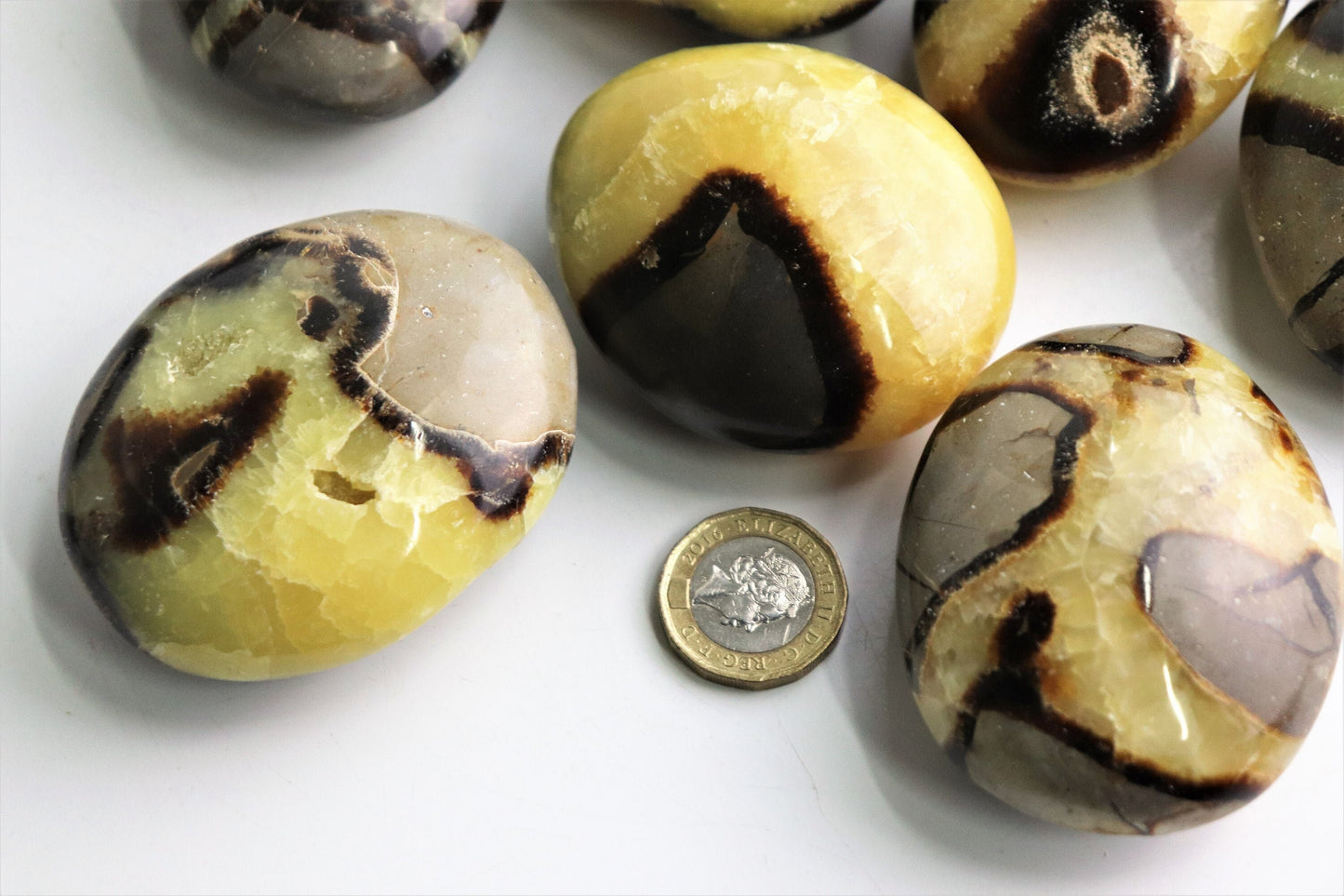 Large yellow septarian crystal palmstone  gallet madagascar