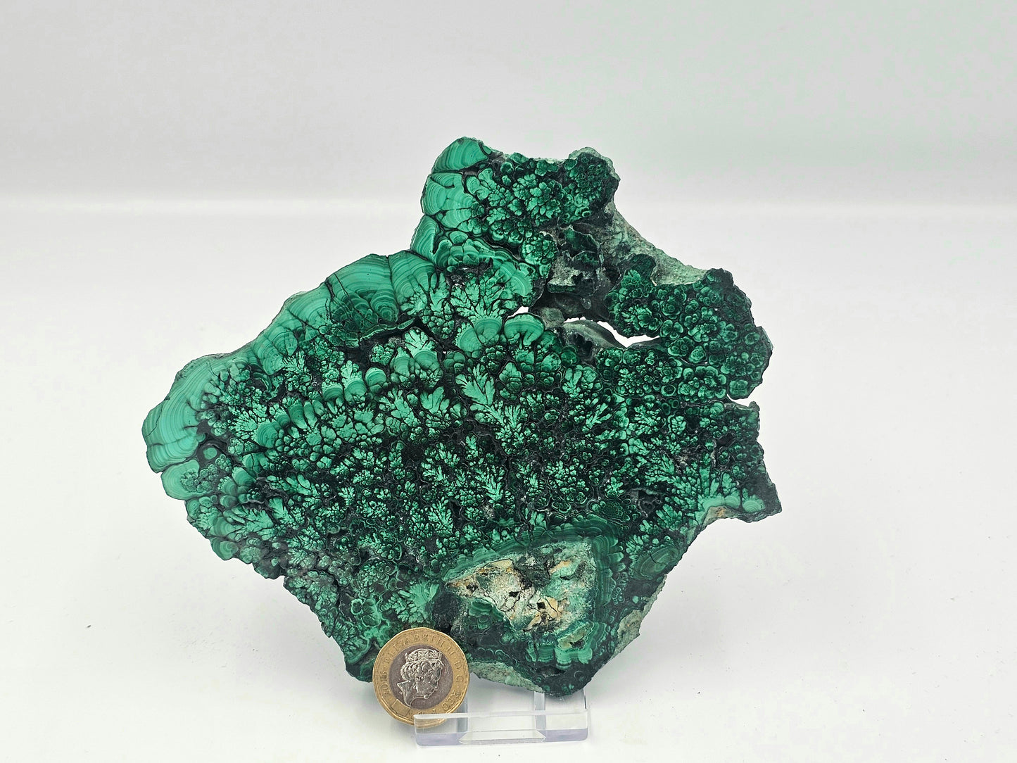 Malachite Crystal Slice (#6)