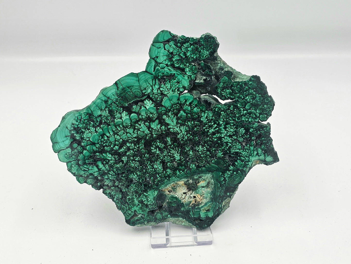 Malachite Crystal Slice (#6)