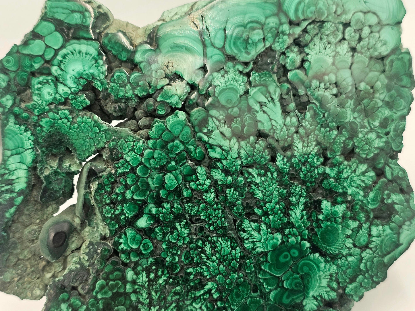 Malachite Crystal Slice (#6)