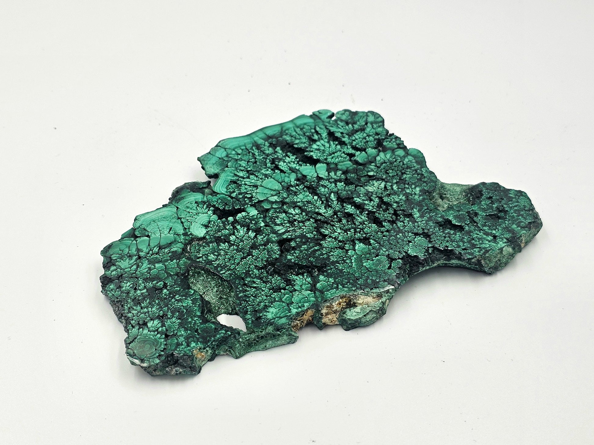 large floral malachite