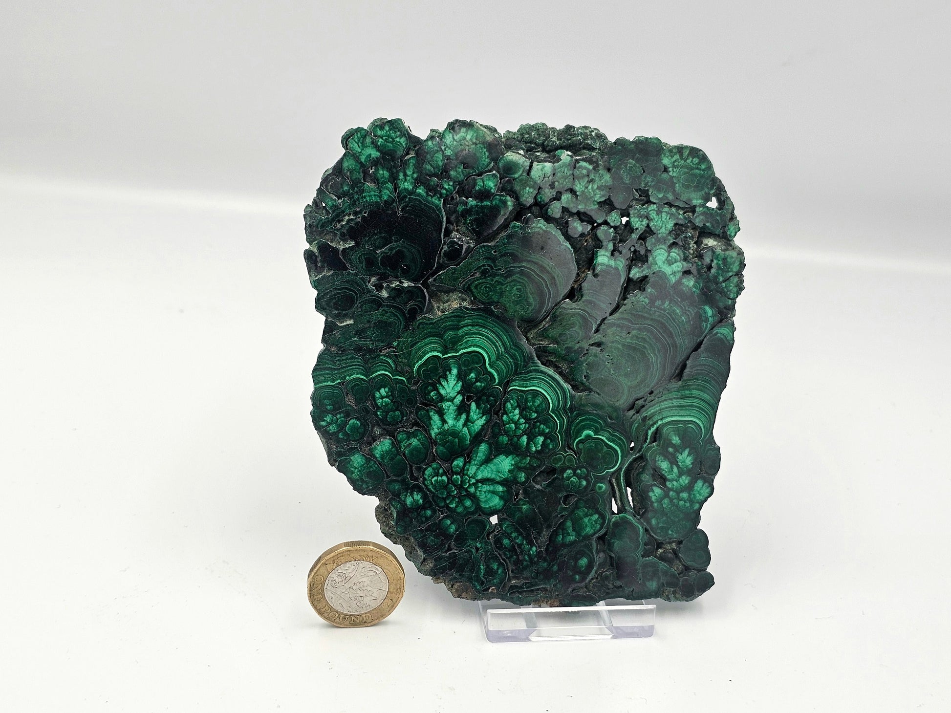 large malachite crystal slice