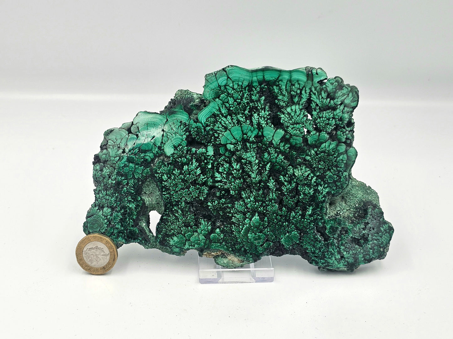 large malachite crystal slice