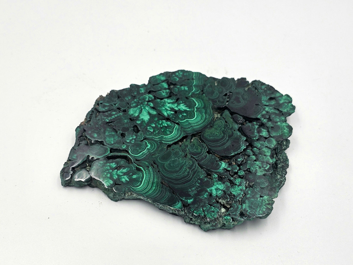 large floral malachite crystal slice