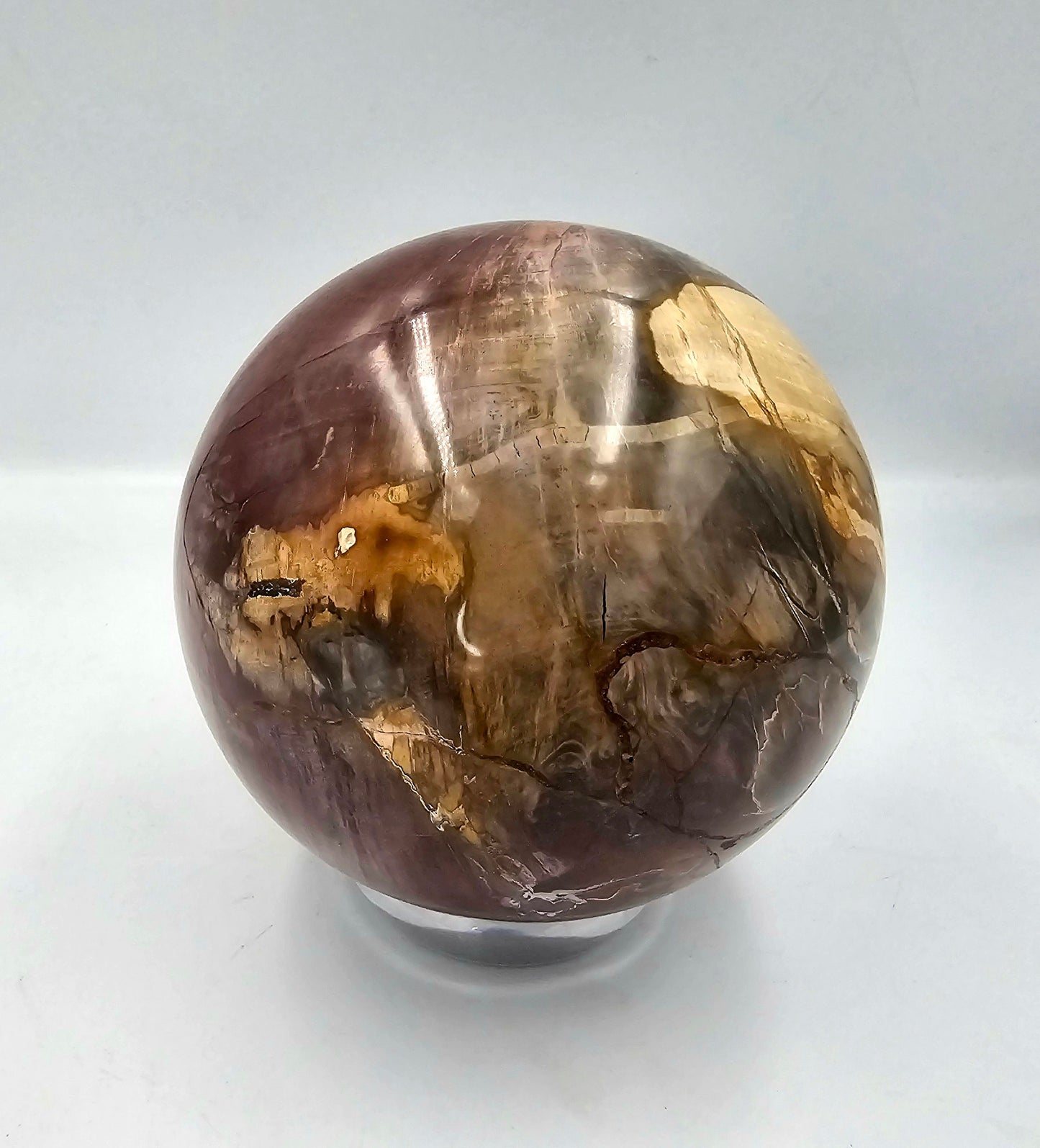 Large Petrified Fossil Wood Sphere 4.84KG