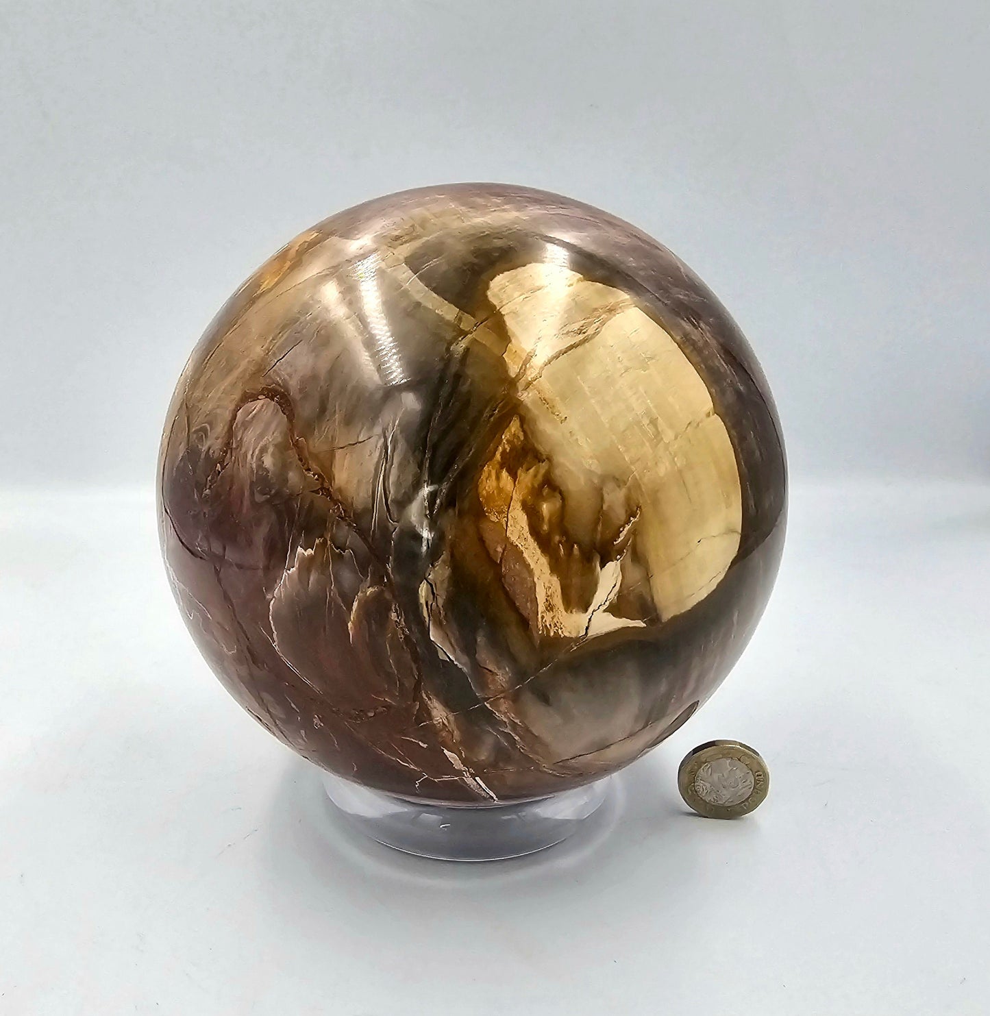 Large Petrified Fossil Wood Sphere 4.84KG