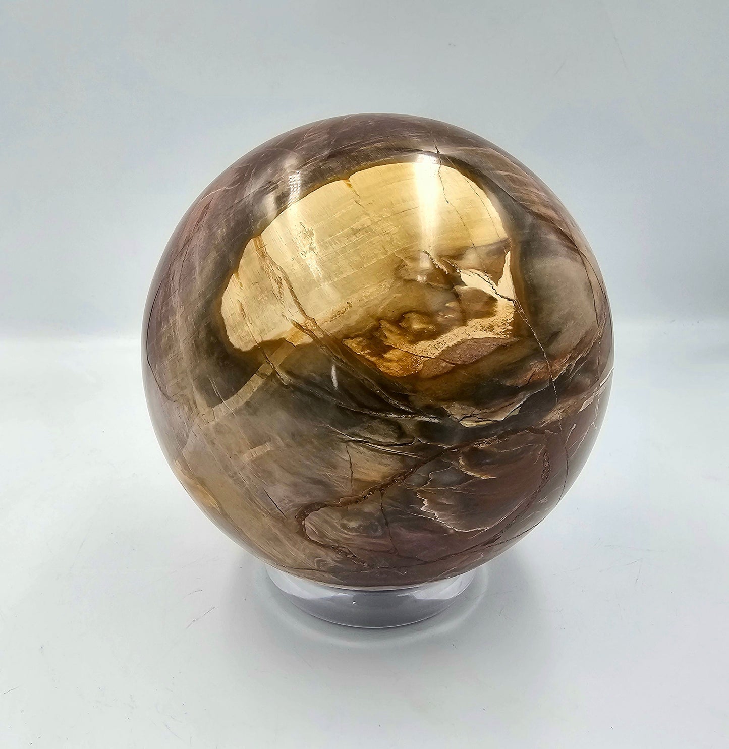 Large Petrified Fossil Wood Sphere 4.84KG