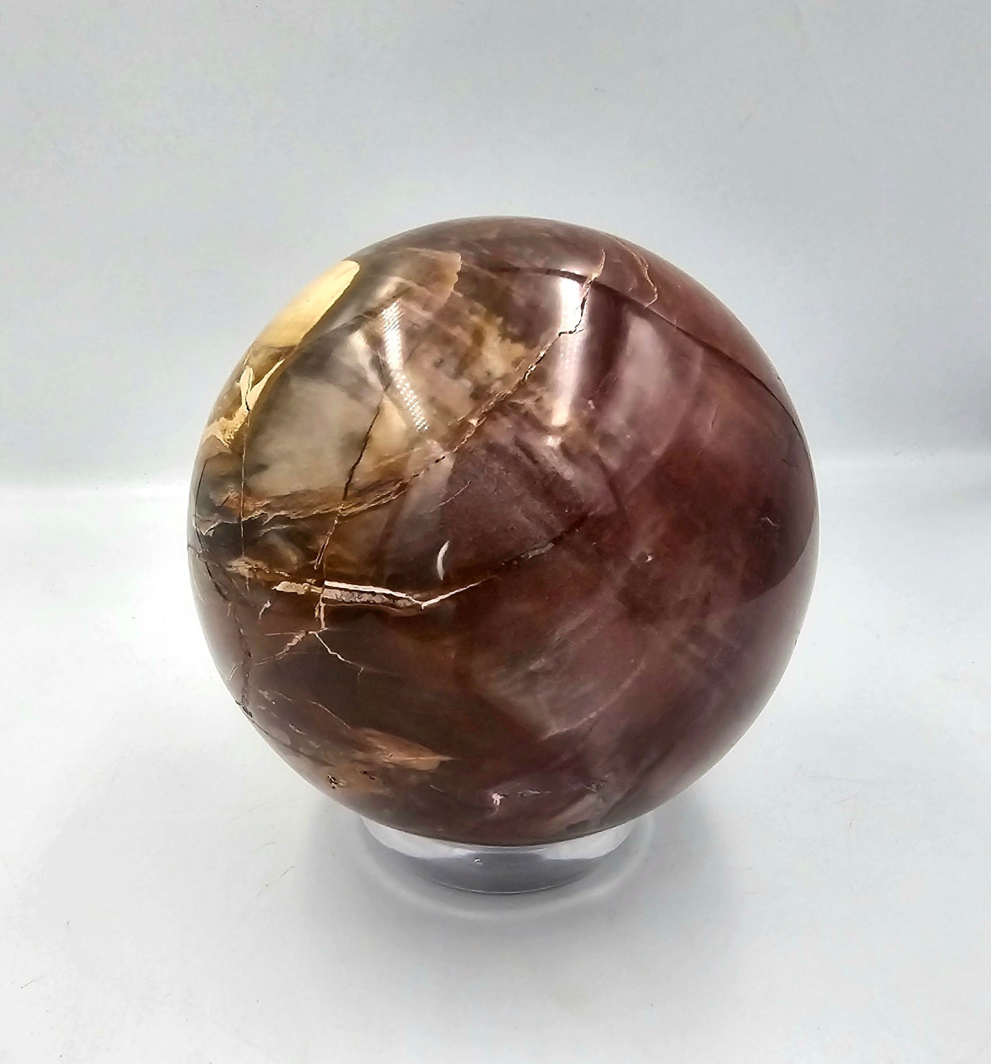 Large Petrified Fossil Wood Sphere 4.84KG